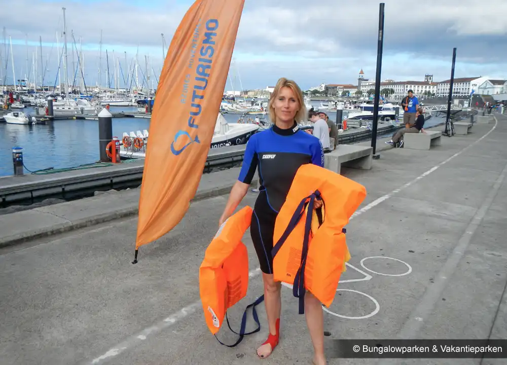 Zwemmen met dolfijnen op São Miguel 