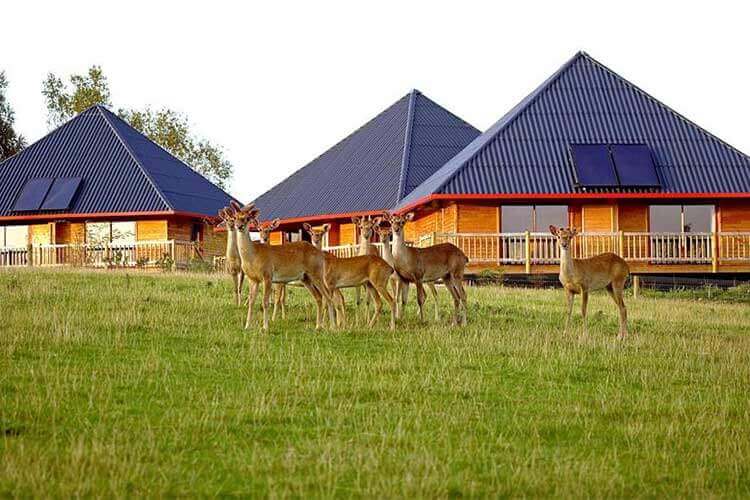 Cerza Safari Lodge Vakantiepark Cerza Safari Lodge Normandië Frankrijk